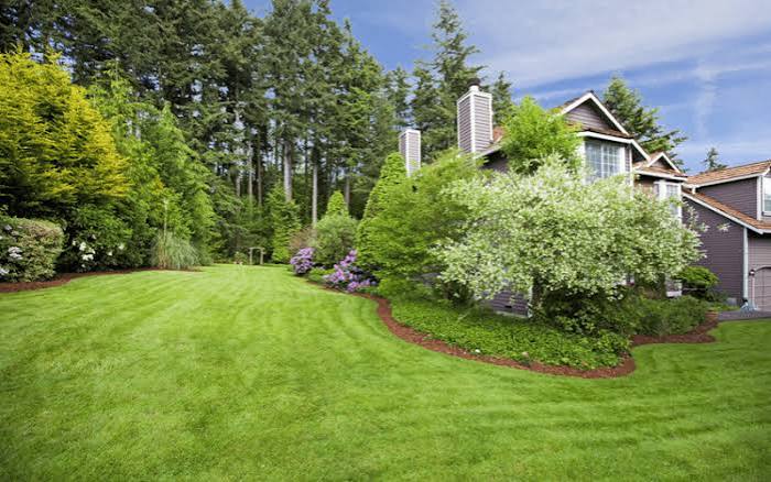 Pristine striped lawn maintained weekly