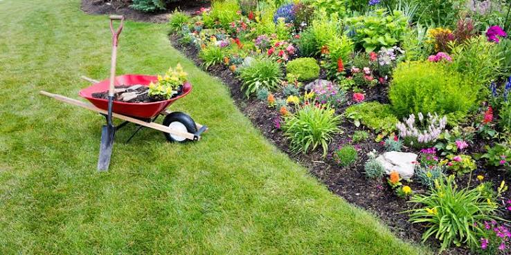 Newly installed front yard landscape